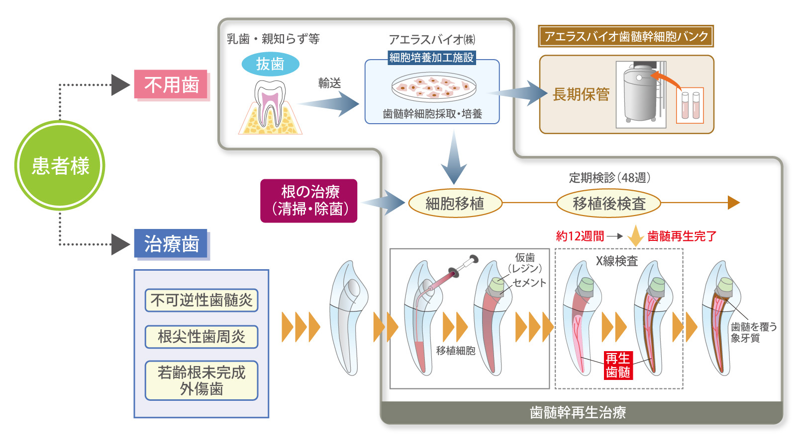 治療の流れ